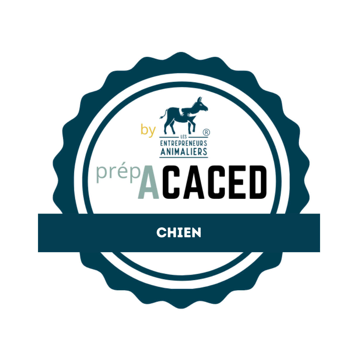 Certificat officiel ACACED pour la garde des animaux de compagnie