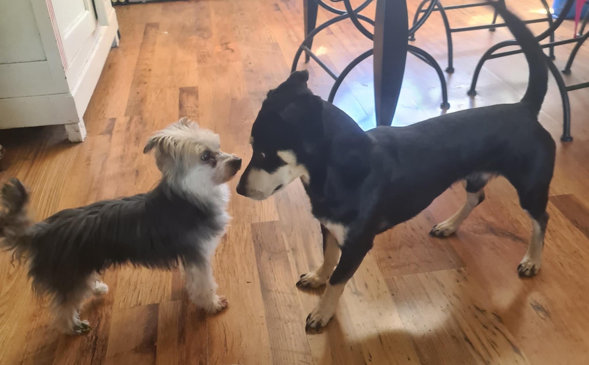 Photographie ou illustration narrative