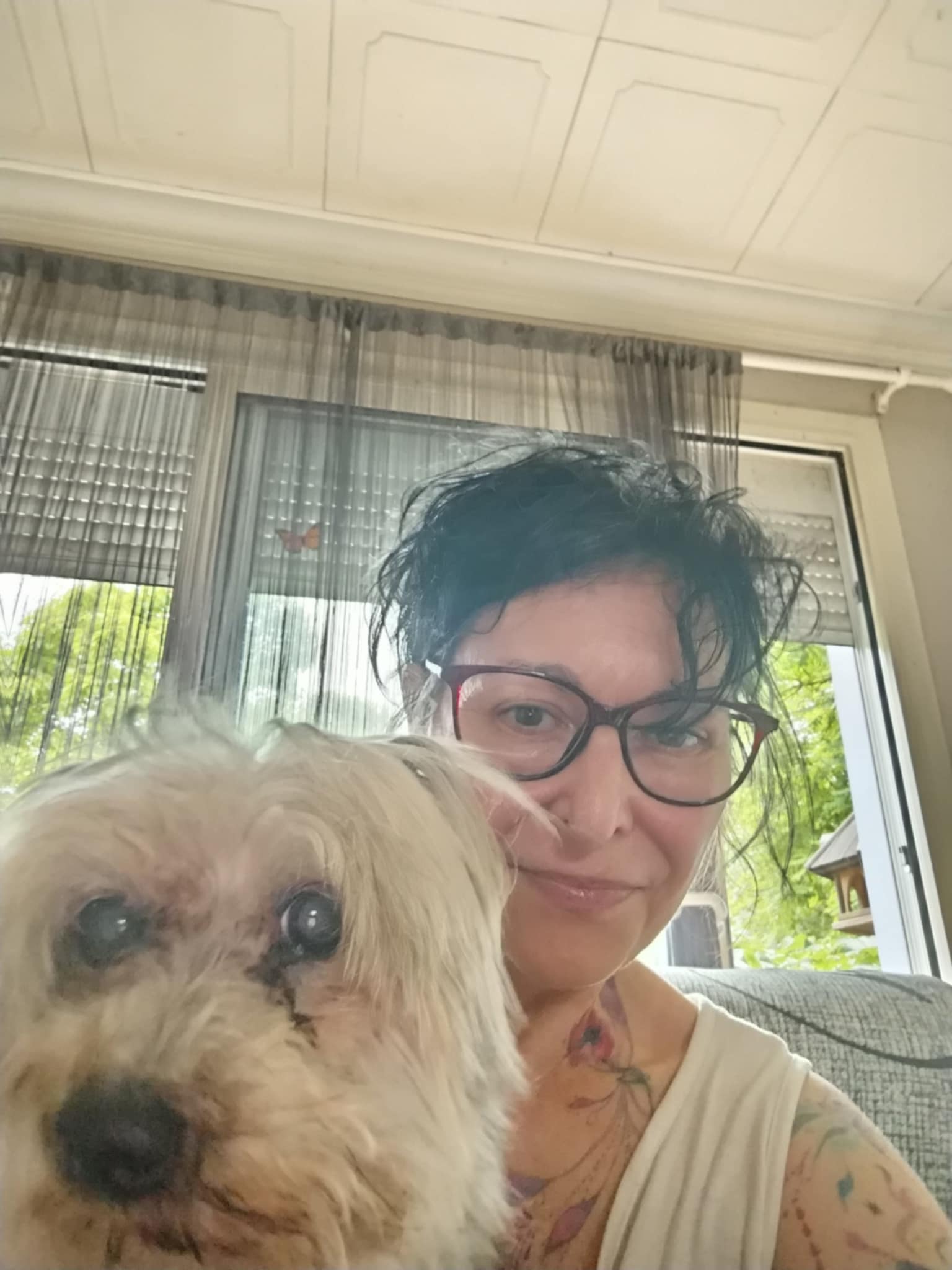 Garde d'animaux professionnelle sur Périgueux et Mensignac